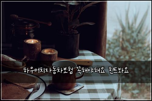 하우머치자동차보험 꼭해야해요  힌트봐요