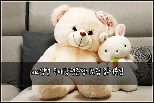 aia생명 무배당평준정기보험 읽어볼점 