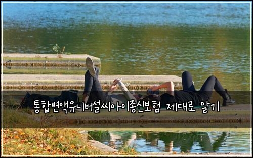 통합변액유니버설씨아이종신보험 제대로 알기