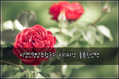 비갱신형암보험순위 미리파악 훌륭한선택