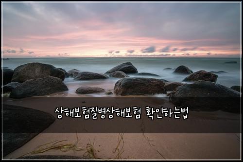 상해보험질병상해보험 확인하는법