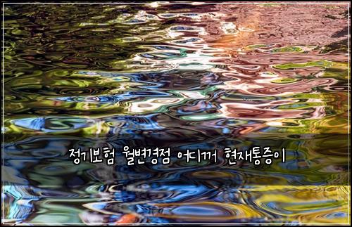 ์ ๊ธฐ๋ณดํ ์๋ณ๊ฒฝ์ ์ด๋๊บผ ํ์ฌํต์ฆ์ด