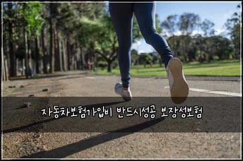 자동차보험가입비 반드시성공 보장성보험