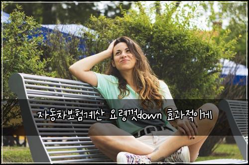 μλ차보νκ³μ° μλ Ήκ»down ν¨κ³Όμ μ΄κ²