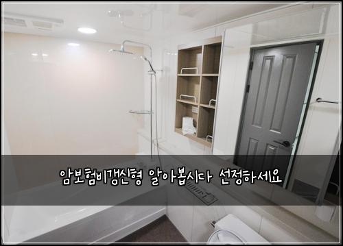암보험비갱신형 알아봅시다 선정하세요