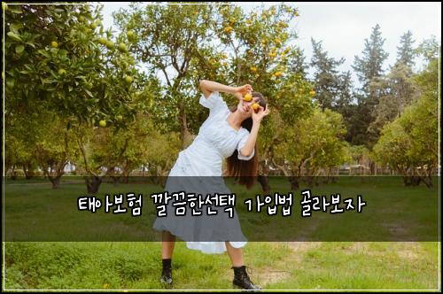 태아보험 깔끔한선택  가입법 골라보자