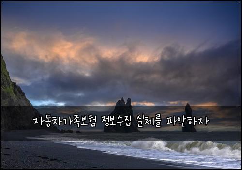 ์๋์ฐจ๊ฐ์กฑ๋ณดํ ์ ๋ณด์์ง ์ค์ฒด๋ฅผ ํ์
ํ์