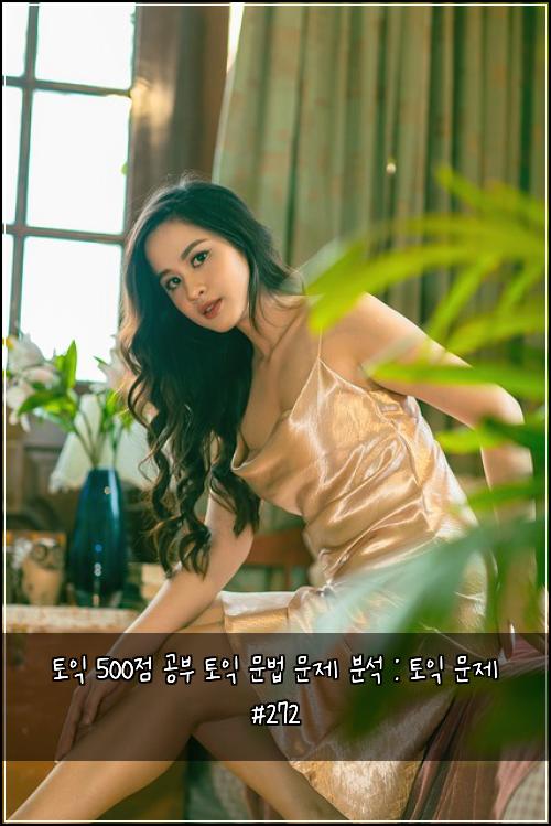 토익 500점 공부 토익 문법 문제 분석 : 토익 문제 #272