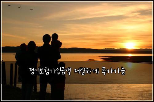 정기보험가입금액 저렴하게 추가가능