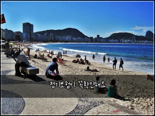 정기보험이 꼭확인해요