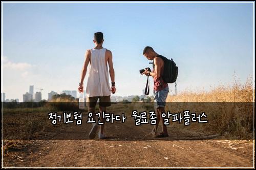 정기보험 요긴하다  월료좀 알파플러스