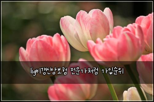 ligλΉκ°±μ μ보ν μ λ¬Έκ°μ²λΌ κ°μ
μμ