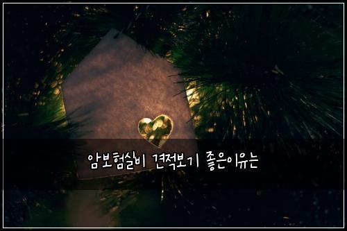 ์๋ณดํ์ค๋น ๊ฒฌ์ ๋ณด๊ธฐ ์ข์์ด์ ๋