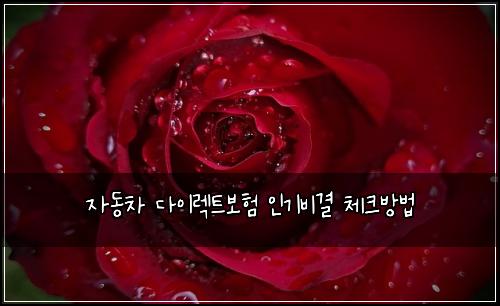 ์๋์ฐจ ๋ค์ด๋ ํธ๋ณดํ ์ธ๊ธฐ๋น๊ฒฐ ์ฒดํฌ๋ฐฉ๋ฒ