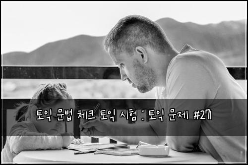 토익 문법 체크 토익 시험 : 토익 문제 #271
