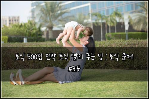 토익 500점 전략 토익 빨리 푸는 법 : 토익 문제 #314