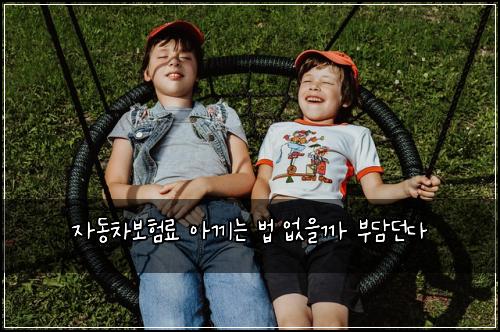 자동차보험료 아끼는 법 없을까 부담던다