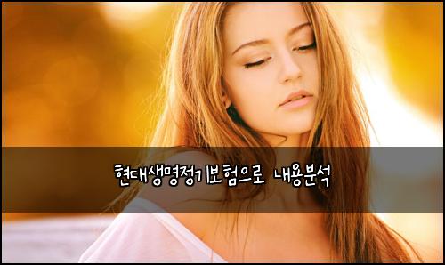 현대생명정기보험으로 내용분석