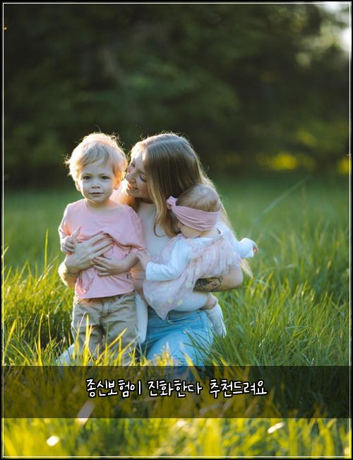 종신보험이 진화한다 추천드려요