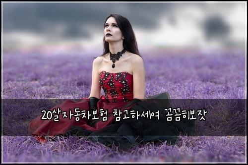 20์ด์๋์ฐจ๋ณดํ ์ฐธ๊ณ ํ์ธ์ฌ ๊ผผ๊ผผํ๋ณด์ฃ