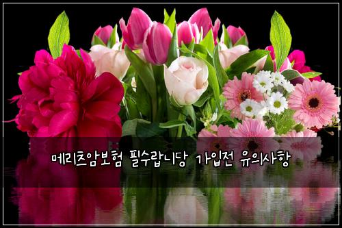 메리츠암보험 필수랍니당  가입전 유의사항
