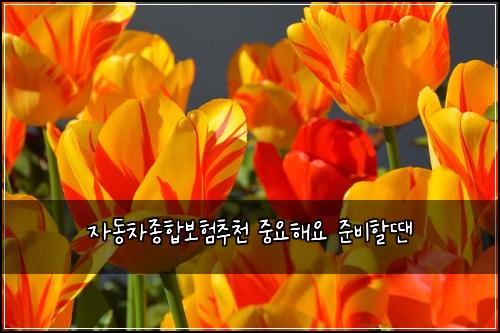 자동차종합보험추천 중요해요 준비할땐