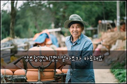 암보험갱신비갱신 알아보자 바로해요