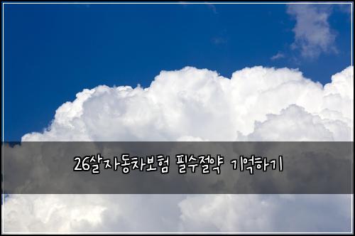 26살자동차보험 필수절약  기억하기