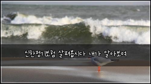 신한정기보험 살펴봅시다  내가 알아보며