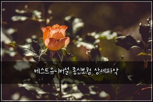 ๋ฒ ์คํธ์ ๋๋ฒ์ค ์ข
์ ๋ณดํ ์์ธํ์