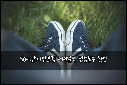 50대남자암보험 세세분석  점검필수 확인