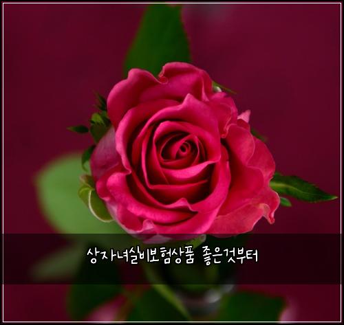 ์์๋
์ค๋น๋ณดํ์ํ ์ข์๊ฒ๋ถํฐ