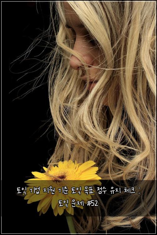 토익 기업 지원 기준 토익 목표 점수 유지 체크 : 토익 문제 #52