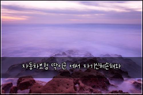 자동차보험 딱이군  에서 자기신체손해와