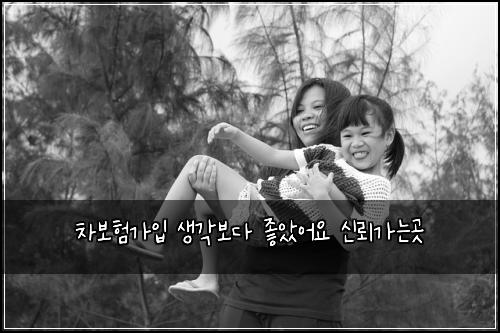 차보험가입 생각보다 좋았어요 신뢰가는곳