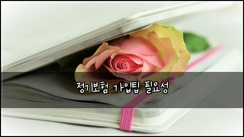 정기보험 가입팁  필요성