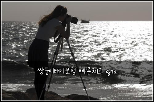쌍둥이태아보험 빠른체크  qna