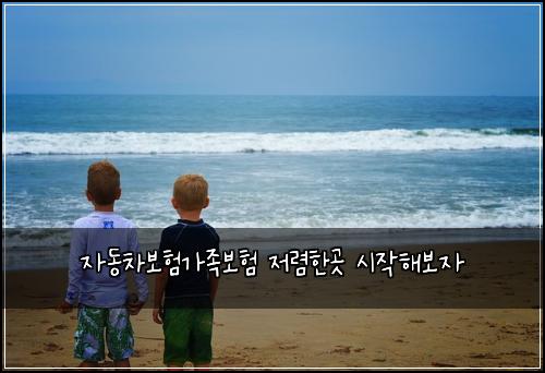 자동차보험가족보험 저렴한곳 시작해보자