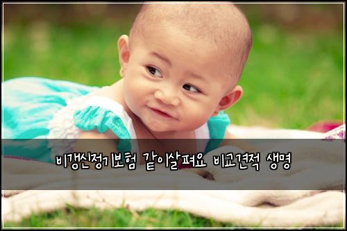 비갱신정기보험 같이살펴요  비교견적 생명