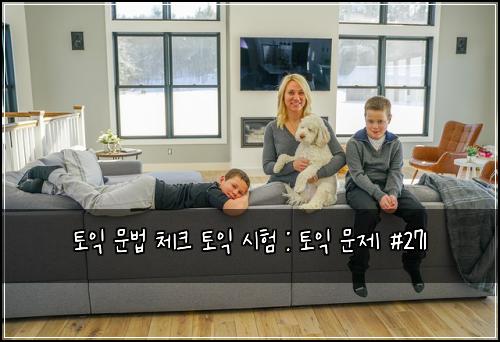 토익 문법 체크 토익 시험 : 토익 문제 #271