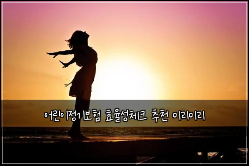 어린이정기보험 효율성체크  추천 미리미리