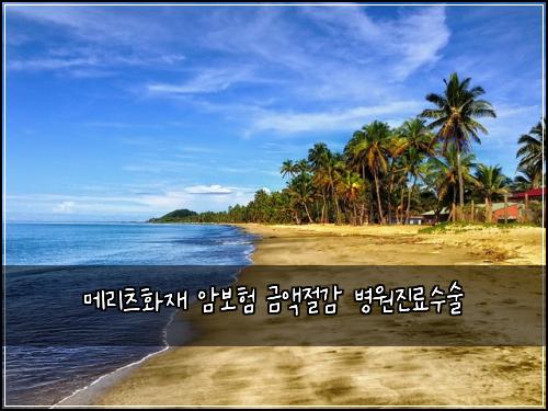 λ©λ¦¬μΈ νμ¬ μ보ν κΈμ‘μ κ° λ³μμ§λ£μμ