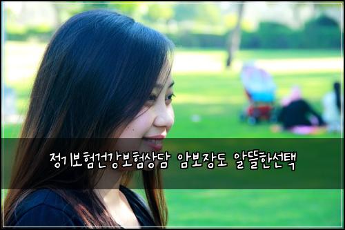 정기보험건강보험상담 암보장도 알뜰한선택