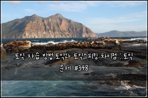 토익 자습 방법 토익과 토익스피킹 차이점 : 토익 문제 #348