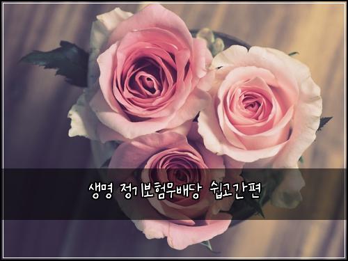 생명 정기보험무배당 쉽고간편