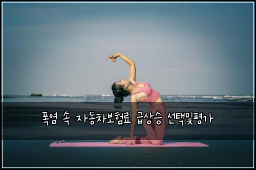ํญ์ผ ์ ์๋์ฐจ๋ณดํ๋ฃ ๊ธ์์น ์ ํ๋ฐํ๊ฐ