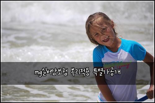 mg실버암보험 복리적용  특별가공개