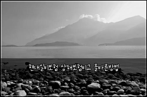 현대실비보험 상해보험비교 올바른방법