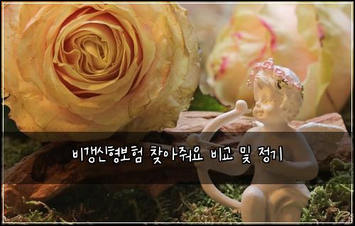 비갱신형보험 찾아줘요  비교 및 정기