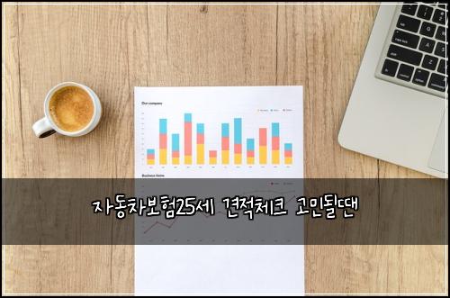 자동차보험25세 견적체크 고민될땐